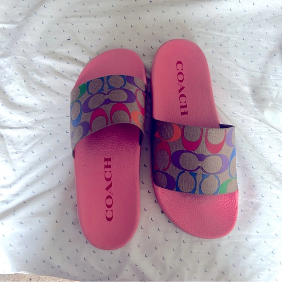 Coach slides - Picture 4 of 5